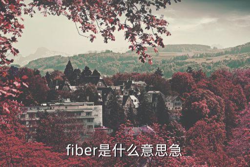 fiber是什么意思急