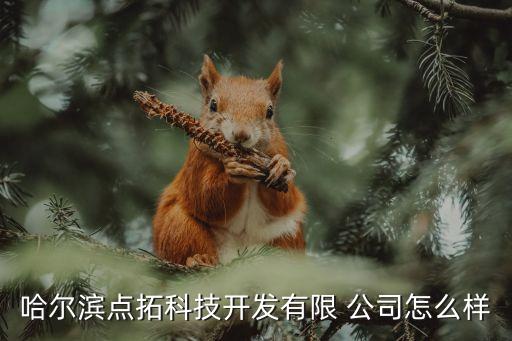 哈爾濱點拓科技開發(fā)有限 公司怎么樣