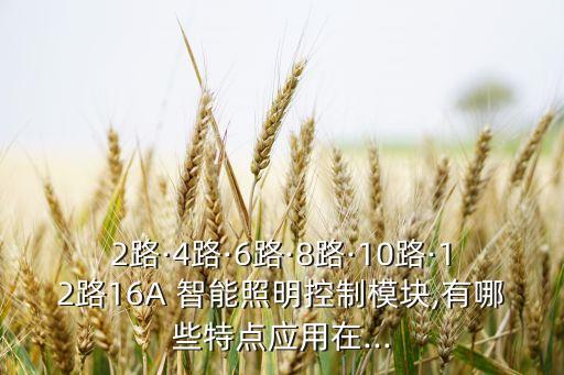 2路·4路·6路·8路·10路·12路16A 智能照明控制模塊,有哪些特點應用在...