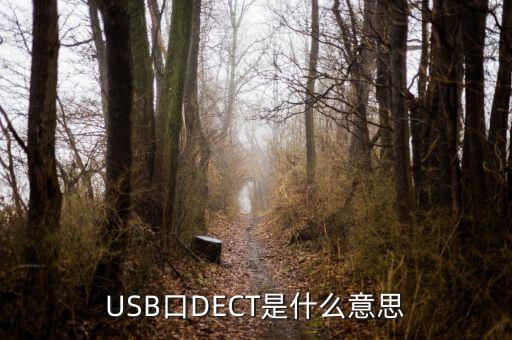 DECT，什么是DECT和EDCT有什么區(qū)別