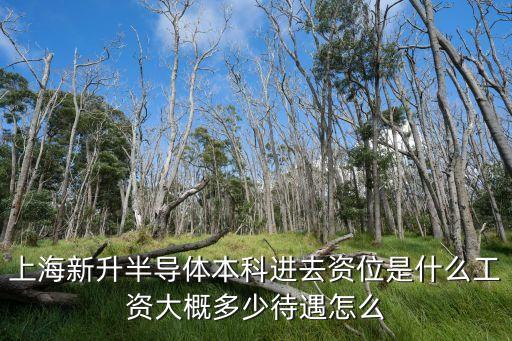 上海新升半導體，上海紫星路1600號的新進半導體公司和宜川路800號的新進半導體制造