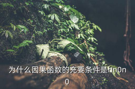 為什么因果函數(shù)的充要條件是hn0n0