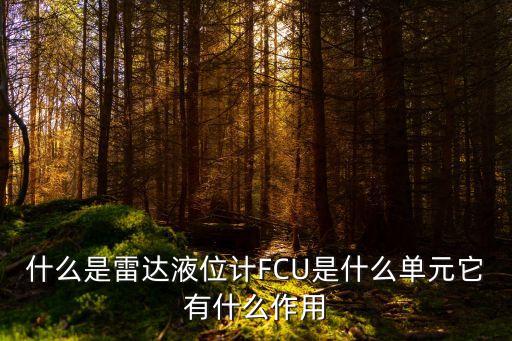 什么是雷達(dá)液位計FCU是什么單元它有什么作用