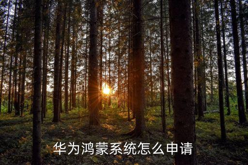 華為鴻蒙系統(tǒng)怎么申請
