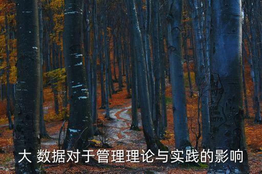 大 數(shù)據(jù)對(duì)于管理理論與實(shí)踐的影響