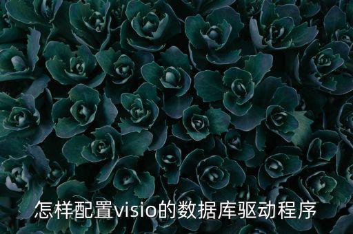 怎樣配置visio的數(shù)據(jù)庫驅(qū)動程序