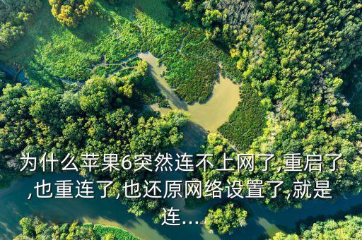 為什么蘋果6突然連不上網了,重啟了,也重連了,也還原網絡設置了,就是連...