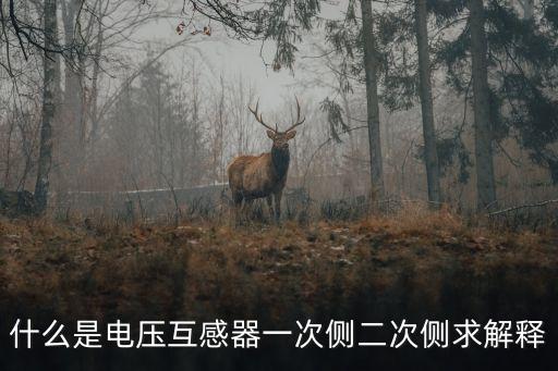 什么是電壓互感器一次側(cè)二次側(cè)求解釋