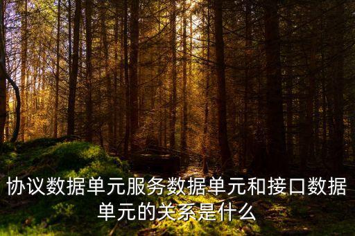 協(xié)議數(shù)據(jù)單元，解釋下列名詞實體對等層協(xié)議數(shù)據(jù)單元服務訪問點