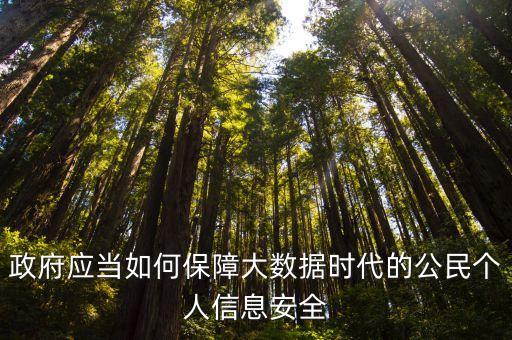 政府應(yīng)當如何保障大數(shù)據(jù)時代的公民個人信息安全