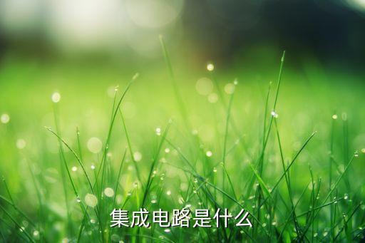 集成電路是什么