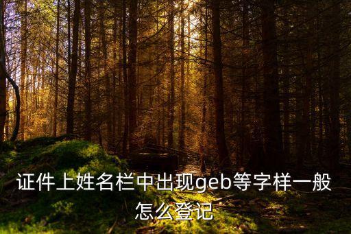 證件上姓名欄中出現(xiàn)geb等字樣一般怎么登記