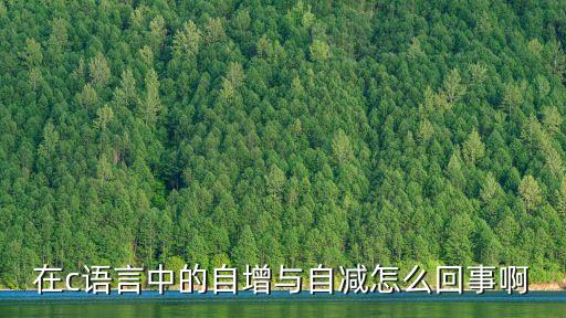 在c語言中的自增與自減怎么回事啊