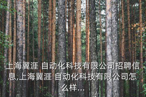 上海翼涯 自動(dòng)化科技有限公司招聘信息,上海翼涯 自動(dòng)化科技有限公司怎么樣...