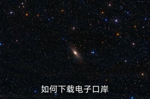 如何下載電子口岸