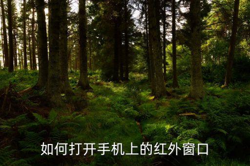 如何打開手機(jī)上的紅外窗口
