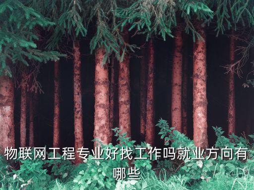 物聯(lián)網(wǎng)工程專(zhuān)業(yè)好找工作嗎就業(yè)方向有哪些