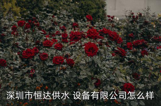 自動(dòng)化噴泉設(shè)備,噴泉設(shè)備生產(chǎn)廠家