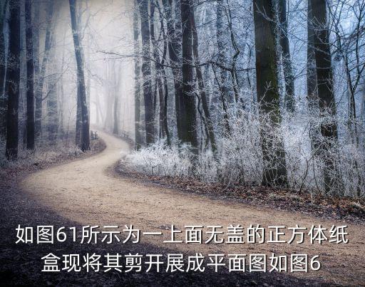 如圖61所示為一上面無蓋的正方體紙盒現(xiàn)將其剪開展成平面圖如圖6