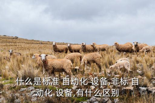 什么是標準 自動化 設備,非標 自動化 設備,有什么區(qū)別