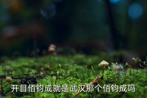 開目軟件，武漢開目軟件的軟件測試實習(xí)生的工資怎么樣福利待遇