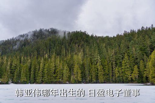 日盈電子,日盈電子董事楊輝:中國籍無永久境外居留權