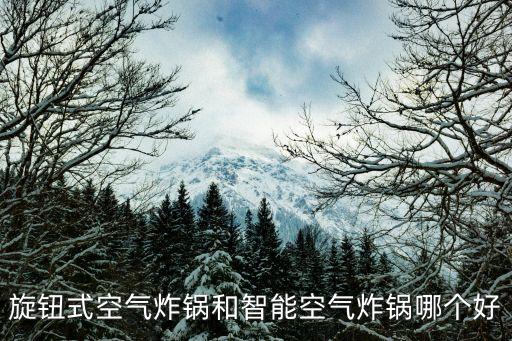 旋鈕式空氣炸鍋和智能空氣炸鍋哪個好