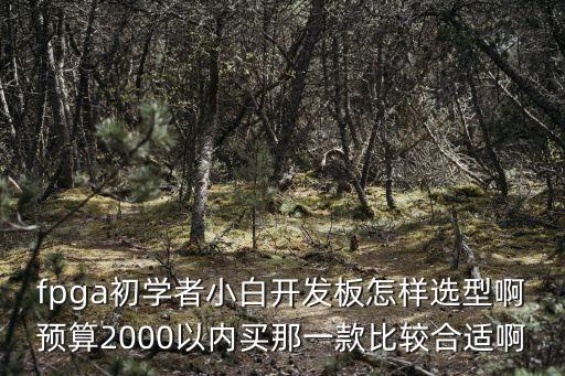 fpga初學(xué)者小白開發(fā)板怎樣選型啊預(yù)算2000以內(nèi)買那一款比較合適啊