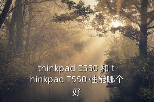 thinkpad E550 和 thinkpad T550 性能哪個好