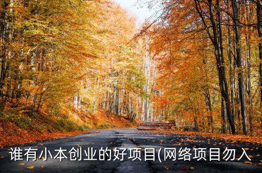 誰有小本創(chuàng)業(yè)的好項(xiàng)目(網(wǎng)絡(luò)項(xiàng)目勿入