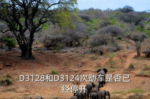 D3128和D3124次動車是否已經(jīng)停開