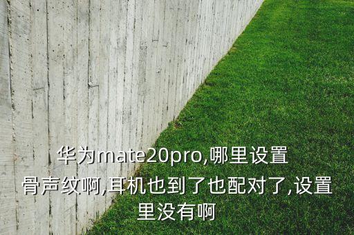 華為mate20pro,哪里設(shè)置 骨聲紋啊,耳機也到了也配對了,設(shè)置里沒有啊