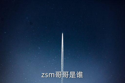 zsm哥哥是誰