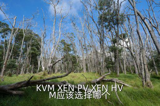 KVM XEN PV XEN HVM應(yīng)該選擇哪個(gè)