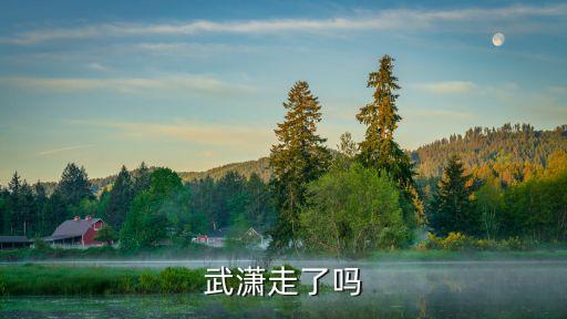 武瀟，非誠(chéng)勿擾的武瀟去哪了