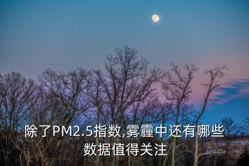 除了PM2.5指數(shù),霧霾中還有哪些 數(shù)據(jù)值得關(guān)注