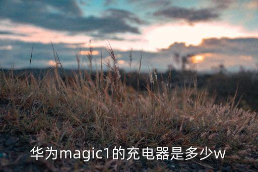 華為magic1的充電器是多少w
