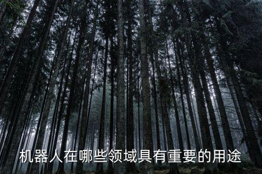 機(jī)器人在哪些領(lǐng)域具有重要的用途