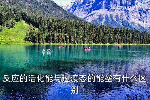 反應(yīng)的活化能與過渡態(tài)的能壘有什么區(qū)別