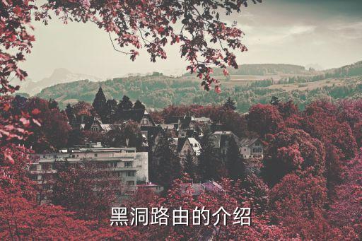 黑洞路由的介紹