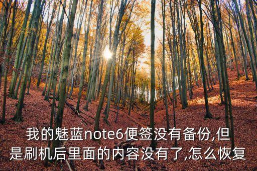 魅藍(lán)云端恢復(fù)備份數(shù)據(jù),怎么備份手機(jī)數(shù)據(jù)恢復(fù)?
