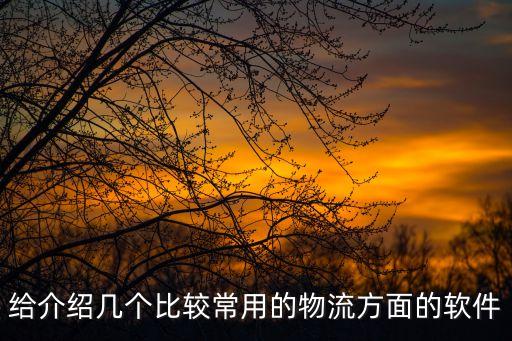 給介紹幾個(gè)比較常用的物流方面的軟件