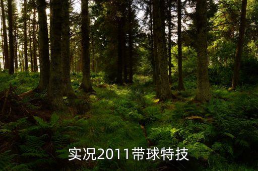 實況2011帶球特技