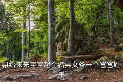 幫給未來(lái)寶寶起個(gè)名男女各一個(gè)爸爸姓王