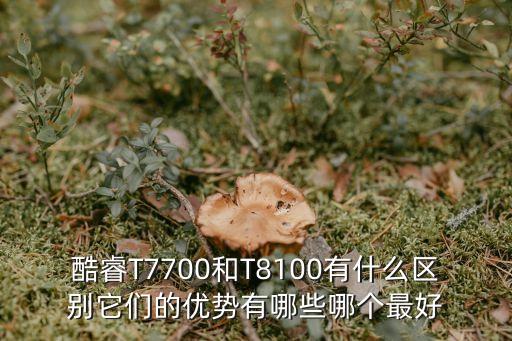 酷睿T7700和T8100有什么區(qū)別它們的優(yōu)勢(shì)有哪些哪個(gè)最好