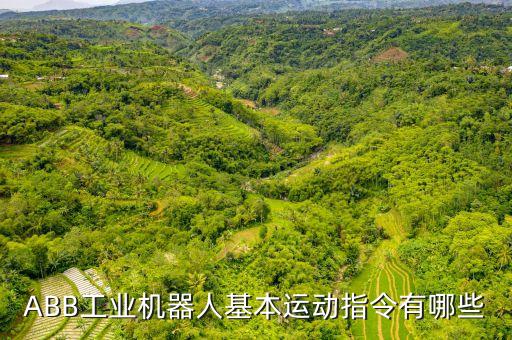 ABB工業(yè)機(jī)器人基本運(yùn)動指令有哪些