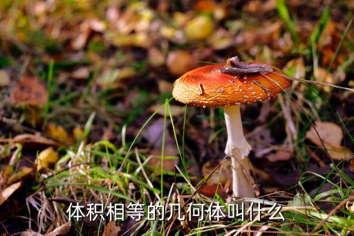體積相等的幾何體叫什么