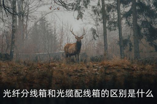 光纖分線箱和光纜配線箱的區(qū)別是什么