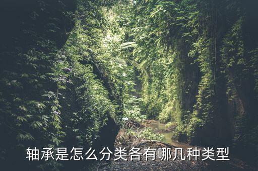 軸承的種類，軸承有幾大類