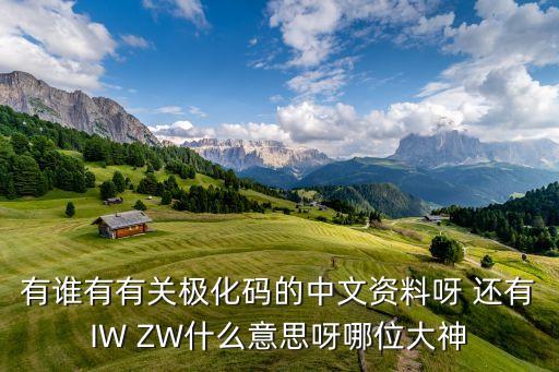有誰有有關(guān)極化碼的中文資料呀 還有IW ZW什么意思呀哪位大神
